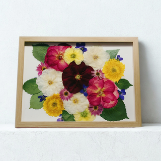 the 12x16