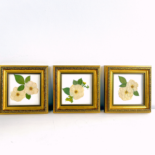 Orante Gold Accent Frame