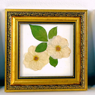 Orante Gold Accent Frame