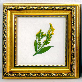 Orante Gold Accent Frame