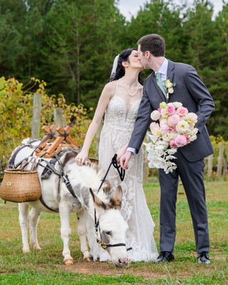 Bride and groom kissing outdoors beside two donkeys, with the groom holding a pink and white wedding bouquet.