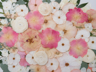 Close up detail image of pressed pink and white wedding florals. 