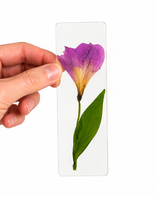 Pressed flower bookmark made with preserved flowers, a sentimental keepsake for wedding or funeral flowers