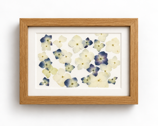 Pressed blue and ivory hydrangeas from a wedding bouquet, arranged in a natural oak frame with a white mat by Forgiven Flower.