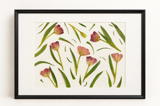 Pressed floral artwork in a black frame, arranged in a deconstructed, wildflower style.