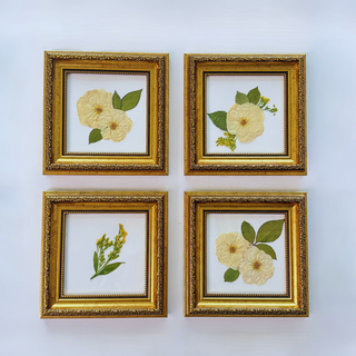 pressed flower frame, best pressed flower frames, preserve my flowers, preserve my bouquet, frame my flowers, flower preservation shop, flower preservation shop near me, best flower preservation shop, best flower preservation, pressed flowers, dried flowers, dried flower shop, flower preservation near me, flower preservation kingsport, flower preservation charlotte, wedding vendors near me, best flower preservationist, preserve my wedding flowers, save my wedding flowers, professional flower preservation