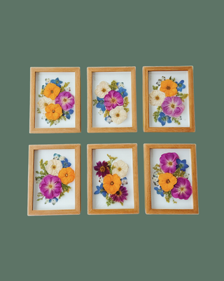 pressed flower frame, best pressed flower frames, preserve my flowers, preserve my bouquet, frame my flowers, flower preservation shop, flower preservation shop near me, best flower preservation shop, wedding flower preservation, pressed flowers, dried flowers, dried flower shop, flower preservation near me, flower preservation kingsport, flower preservation kingsport, wedding vendors near me, best flower preservationist, preserve my wedding flowers, save my wedding flowers, professional flower preservation