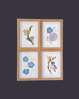 pressed flower frame, best pressed flower frames, preserve my flowers, preserve my bouquet, frame my flowers, flower preservation shop, flower preservation shop near me, best flower preservation shop, wedding flower preservation, pressed flowers, dried flowers, dried flower shop, flower preservation near me, flower preservation kingsport, flower preservation kingsport, wedding vendors near me, best flower preservationist, preserve my wedding flowers, save my wedding flowers, professional flower preservation