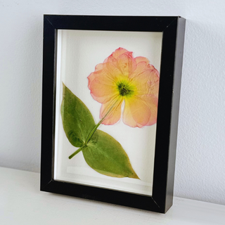 pressed flower frame, best pressed flower frames, preserve my flowers, preserve my bouquet, frame my flowers, flower preservation shop, flower preservation shop near me, best flower preservation shop, best flower preservation, pressed flowers, dried flowers, dried flower shop, flower preservation near me, flower preservation kingsport, flower preservation charlotte, wedding vendors near me, best flower preservationist, preserve my wedding flowers, save my wedding flowers, professional flower preservation