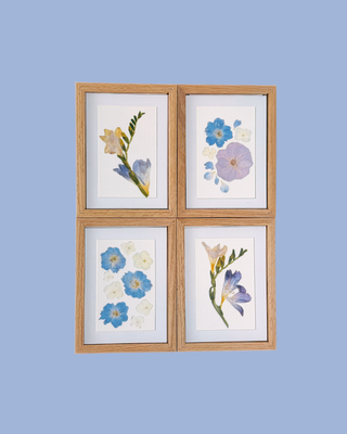 pressed flower frame, best pressed flower frames, preserve my flowers, preserve my bouquet, frame my flowers, flower preservation shop, flower preservation shop near me, best flower preservation shop, wedding flower preservation, pressed flowers, dried flowers, dried flower shop, flower preservation near me, flower preservation kingsport, flower preservation kingsport, wedding vendors near me, best flower preservationist, preserve my wedding flowers, save my wedding flowers, professional flower preservation